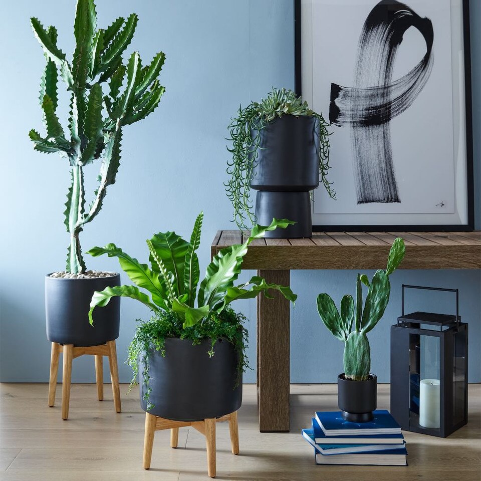 Bishop Indoor/Outdoor Pedestal Planters | West Elm Australia